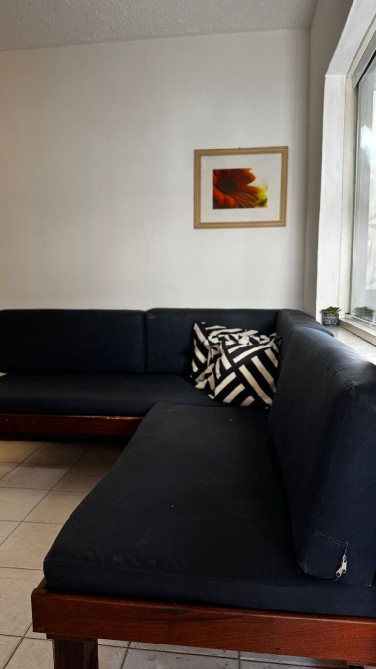 WhatsApp Image 2026-01-19 at 09.06.07